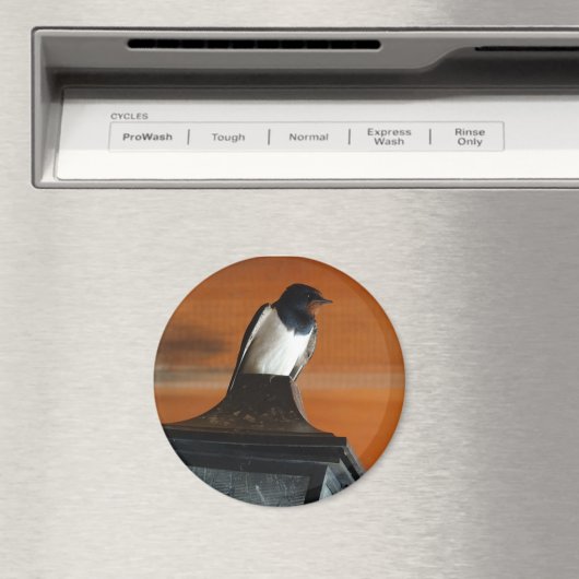 Schlucken von Vögeln auf Lamp Foto Rund Magnet (In Situ (Geschirrspüler))