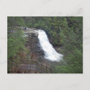 Schluckfälle Postkarte