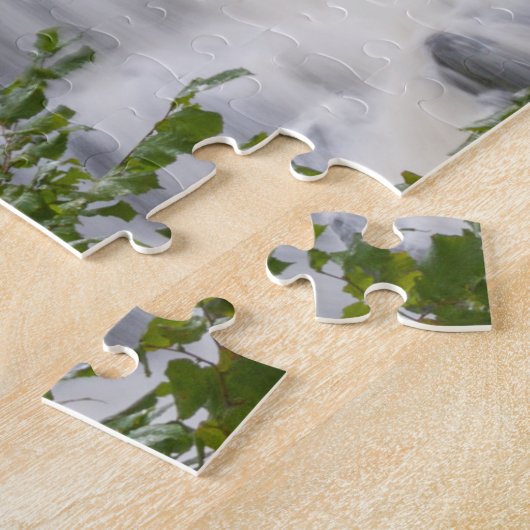 Schluckfälle, Wetten mit Coed, Wales Puzzle (Seite)