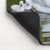 Schluckschwan mit Nestleinen auf Wasser Mousepad (Ecke)