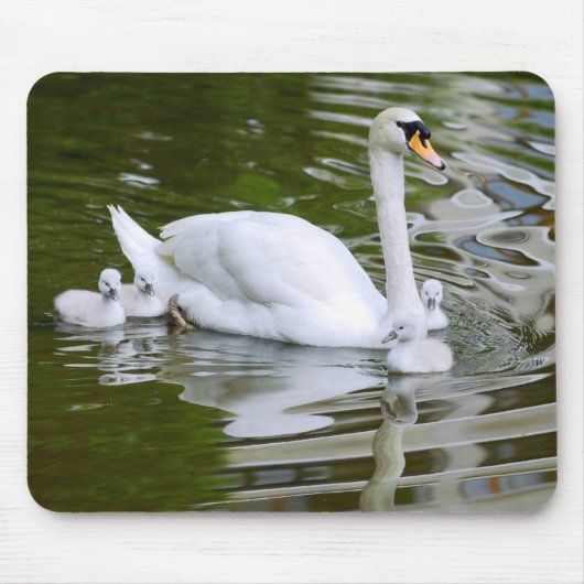 Schluckschwan mit Nestleinen auf Wasser Mousepad (Vorne)