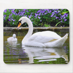 Schluckschwan mit Nestleinen auf Wasser Mousepad