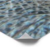 Schlummerschildkröte Poster (Ecke)