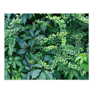 Schluss 14" x 11" Foto-Erweiterung Fotodruck