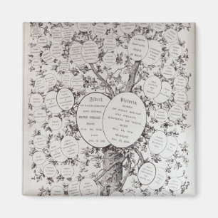 Schlüssel zum Abstammungsbaum Magnet