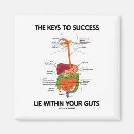 Schlüssel zum Erfolg liegen in Ihrer Hand (Digesti Magnet