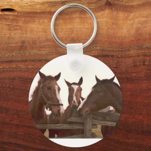 Schlüsselanhänger (Vorderseite)