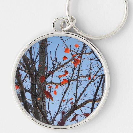 Schlüsselanhänger (Vorne)