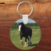 Schlüsselanhänger (Vorderseite)