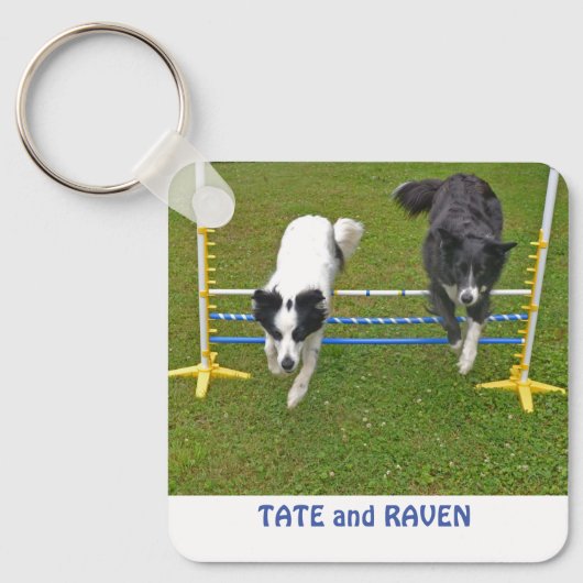 Schlüsselanhänger, 2,25" x 2,25" Colliese springen Schlüsselanhänger (Vorderseite)