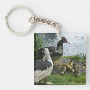 Schlüsselanhänger aus Moskauer Enten und Enten