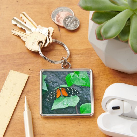 SCHLÜSSELANHÄNGER BUTTERFLY (FOTO) (Schreibtisch)
