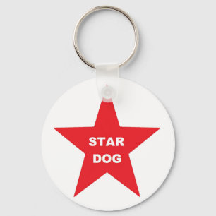 Schlüsselanhänger der Kette auf Red Star