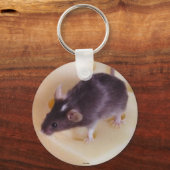 Schlüsselanhänger der schweizerischen Käse (Vorderseite)