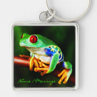 Schlüsselanhänger des Frosch-1