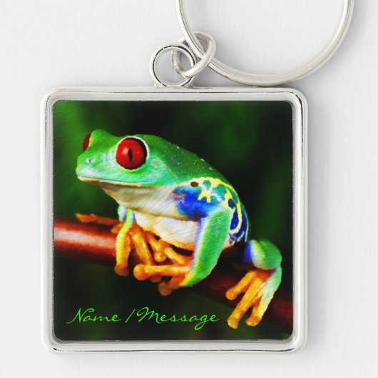 Schlüsselanhänger des Frosch-1 (Vorne)