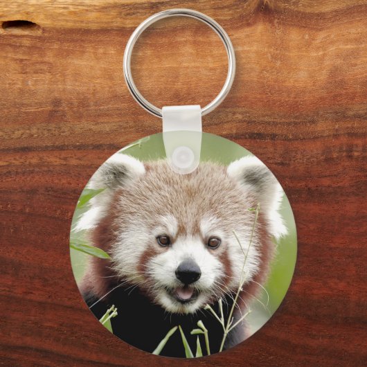 Schlüsselanhänger Foto roter Panda. Panda roux. (Vorderseite)
