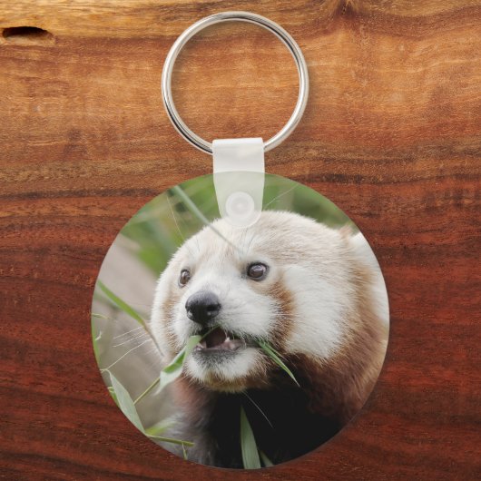 Schlüsselanhänger Foto roter Panda, Tiere 0326. (Vorderseite)