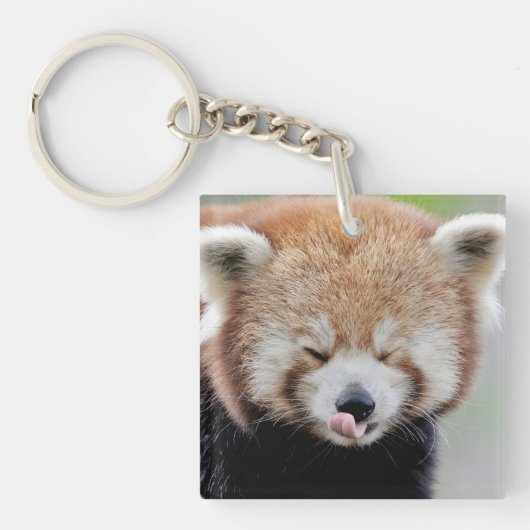 Schlüsselanhänger Fotografie roten Panda. (Vorderseite)
