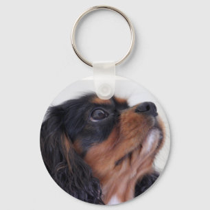 Schlüsselanhänger - König Charles Cavalier