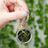 Schlüsselanhänger mit grünem Frosch (Hand)