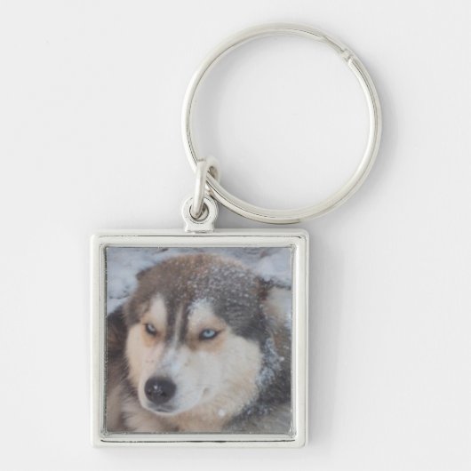 Schlüsselanhänger mit Husky (Vorne)