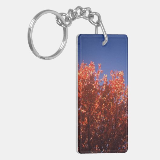 Schlüsselanhänger mit ursprünglichem Fallbild (Vorderseite links)