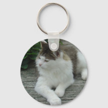Schlüsselanhänger oder Keyring - Coon Cat Image 1 