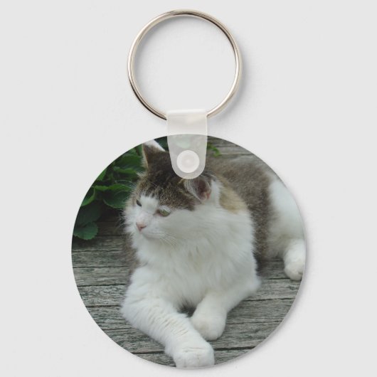 Schlüsselanhänger oder Keyring - Coon Cat Image 1 (Vorderseite)