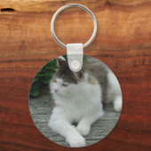Schlüsselanhänger oder Keyring - Coon Cat Image 1 (Vorderseite)