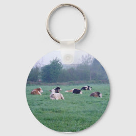 Schlüsselanhänger oder Schlüsselring - Kühe - farb