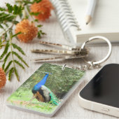 Schlüsselanhänger - Pfau (Vorderseite rechts)