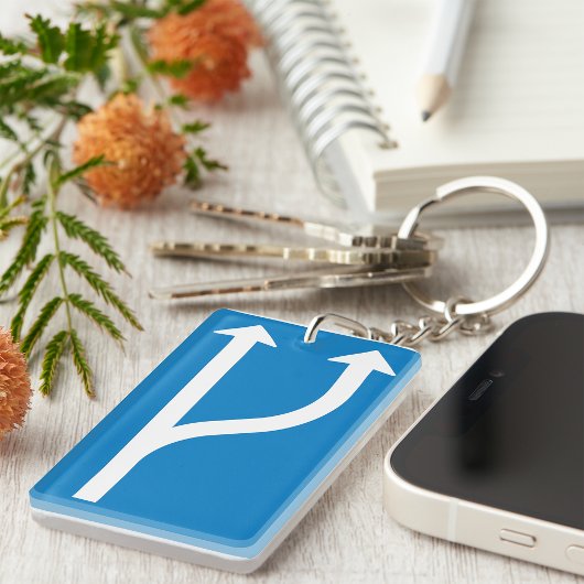 Schlüsselanhänger "Straßenschildkröten"