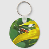 Schlüsseler Punktekäfer Schlüsselanhänger (Vorderseite)