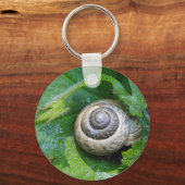 Schlüsselger Ō Schnecke Schlüsselanhänger (Vorderseite)
