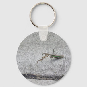 Schlüsselkette des betenden Mantis Schlüsselanhänger