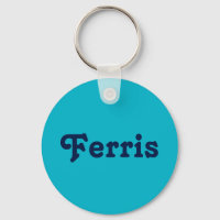 Schlüsselkette Ferris