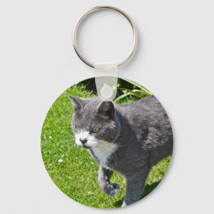 Schlüsselkette für graue und weiße Katzen Schlüsselanhänger