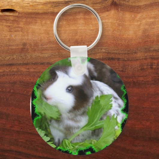 Schlüsselkette für Guinea Schlüsselanhänger (Vorderseite)