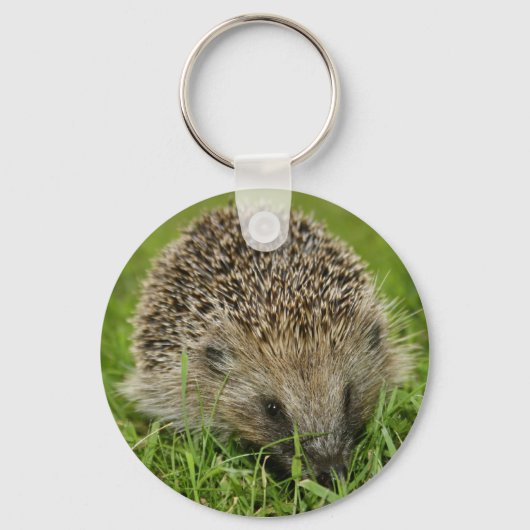 Schlüsselkette für Igel Schlüsselanhänger (Vorderseite)