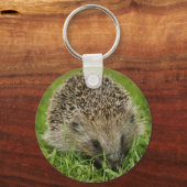 Schlüsselkette für Igel Schlüsselanhänger (Vorderseite)