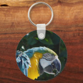 Schlüsselkette für Macaw Schlüsselanhänger (Vorderseite)