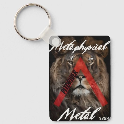 Schlüsselkette für PitDriver Schlüsselanhänger (Vorderseite)