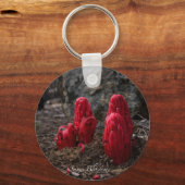 Schlüsselkette für Schneebesen Schlüsselanhänger (Vorderseite)