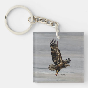 Schlüsselkette Hawk Schlüsselanhänger