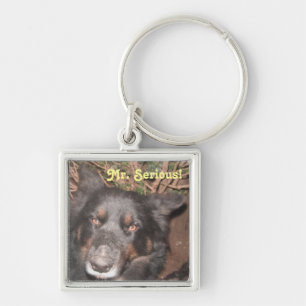Schlüsselkette Husky Collie Cross Schlüsselanhänger