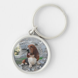 Schlüsselkette mit Basset Hound Burg Ruin Besuch Schlüsselanhänger