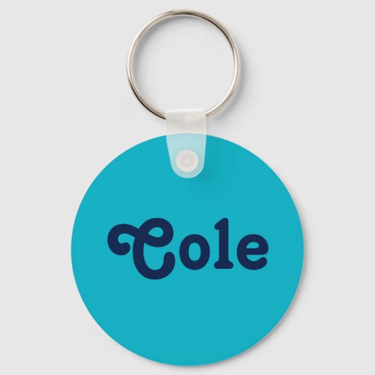 Schlüsselkette Schlüsselanhänger (Vorderseite)