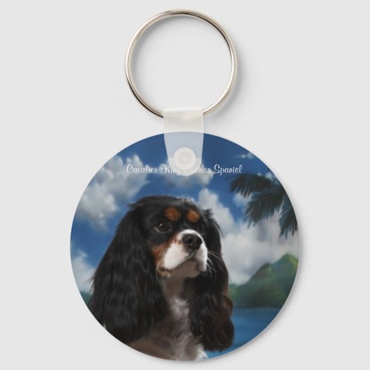 Schlüsselkette Tri-color Schlüsselanhänger (Vorderseite)