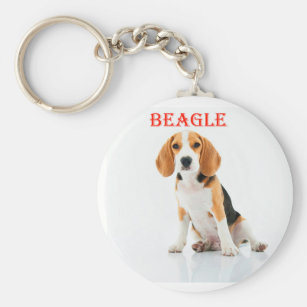 4 Charms 3D-Beagle Pfote Herzen Beagle Schlüssel Anhänger Schlüsselring Herz 